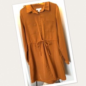 Large Bronze Shirtdress